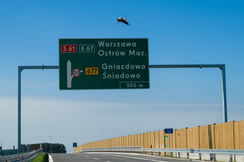 Bocian na drodze S61. Bocian usiadł na drogowej tablicy informacyjnej na trasie Śniadowo - Łomża. Zdjęcia