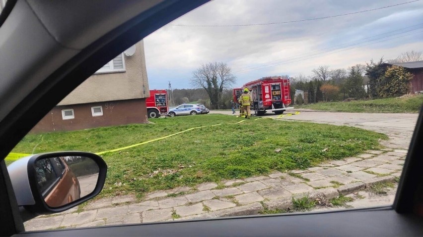 Wojewódzki policji w Poznaniu wysłał wsparcie około 100...