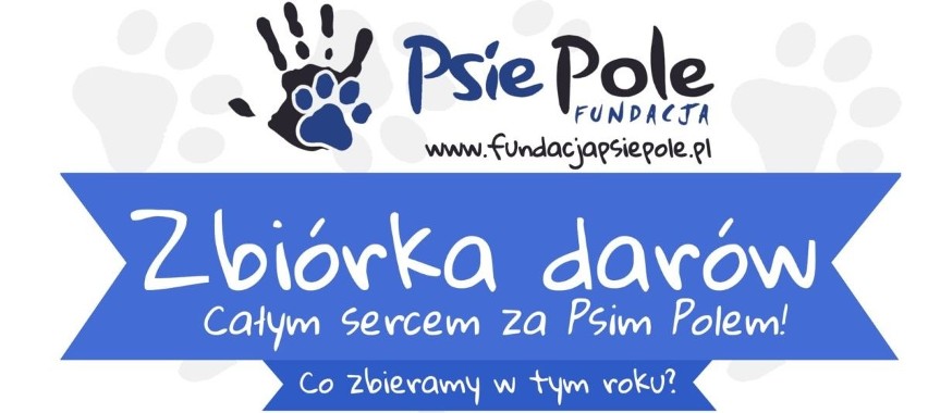 „Całym sercem za Psim Polem” w Niepołomicach. Rusza zbiórka na rzecz bezdomnych zwierząt