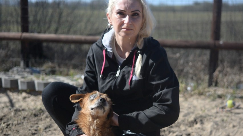 Kilkuletni psiak został znaleziony w lesie. Ktoś wydłubał mu...