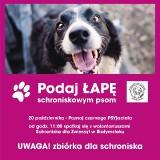 Outlet Center Białystok zaprasza na akcję „Podaj łapę schroniskowym psom”