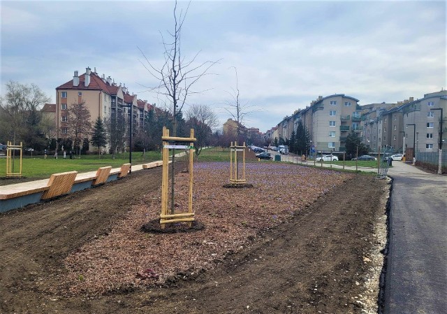Urzędnicy miejskiej jednostki chwalą się nasadzeniami w rewitalizowanym Parku Kurdwanów, jednak nim mieszkańcy będą mogli z niego skorzystać minie jeszcze dużo czasu.