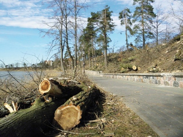 Promenada była wczoraj zamknięta dla pieszych i rowerzystów przez kilka godzin, wycinano bowiem drzewa na wysokiej skarpie.