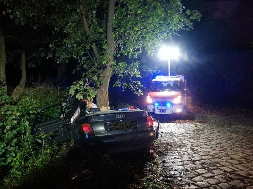 Wielewo. Wypadek w gminie Braniewo. Nie żyje 19-latek