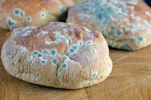 Do wyrzucana starego chleba przyznaje się około 43 procent...