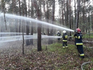 Obiektywne wspomnienia, czyli fotograficzne podsumowanie minionego roku w podkrakowskich gminach [ZDJĘCIA]