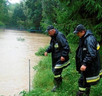 Koncepcja obejmuje też zabezpieczenie Cedronu , który wylewa Fot. Ewa Tyrpa