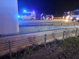 Śmiertelny wypadek z łosiem na autostradzie A1 pod Toruniem. Kierowca i zwierzę nie żyją