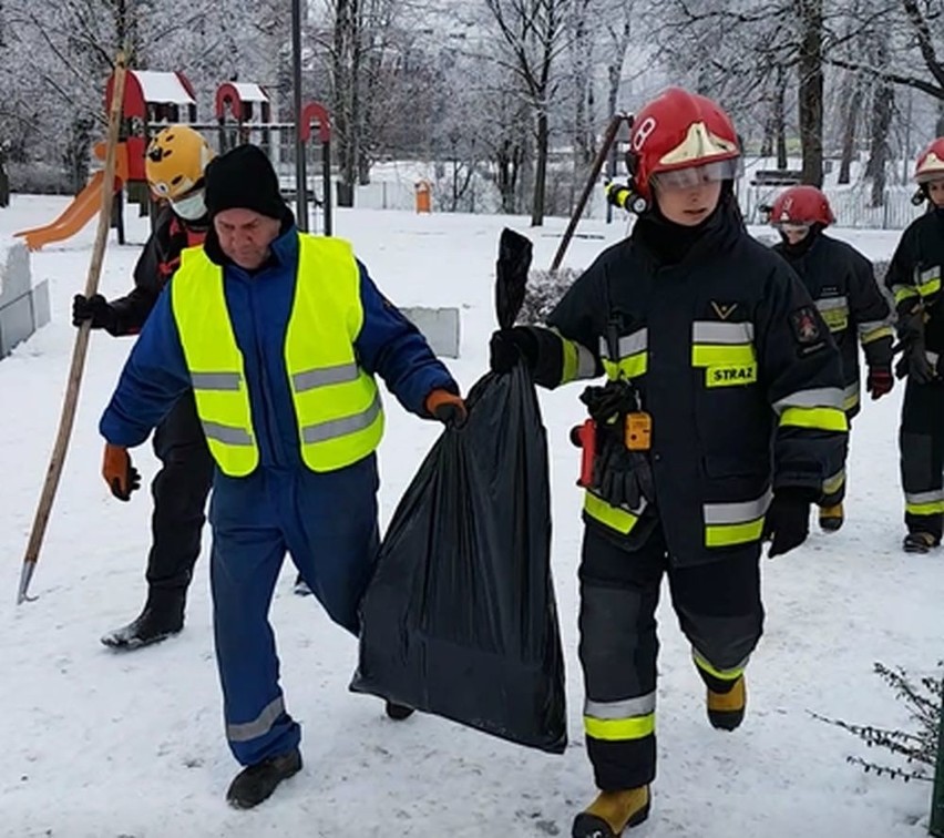 Ptasia grypa we Wrocławiu. Martwe łabędzie w Odrze. Nie spaceruj nad rzeką, nie dokarmiaj ptaków