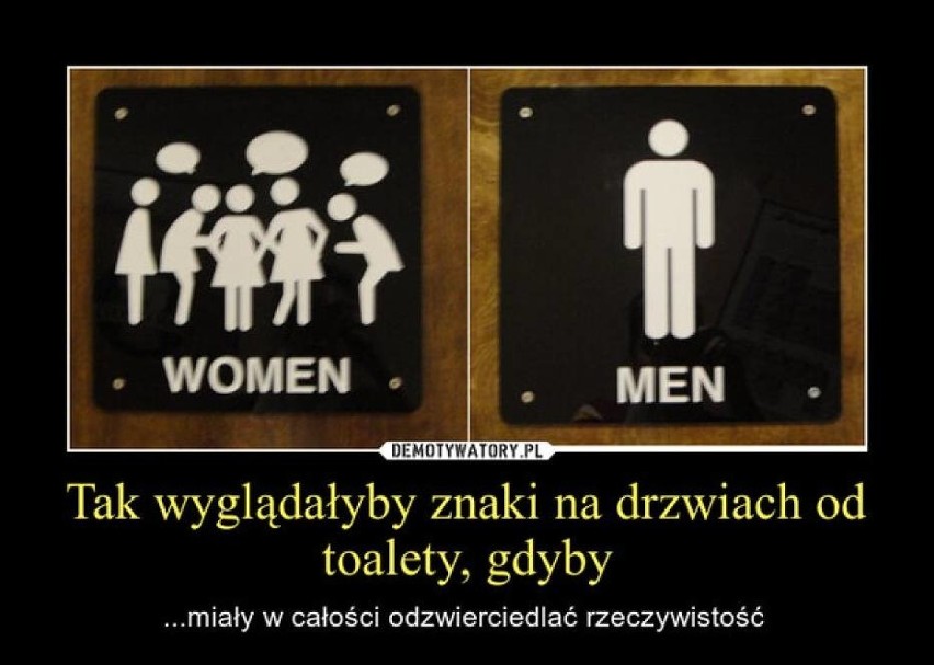 Światowy Dzień Toalet - święto ONZ, w sieci obchodzone z uśmiechem [MEMY]