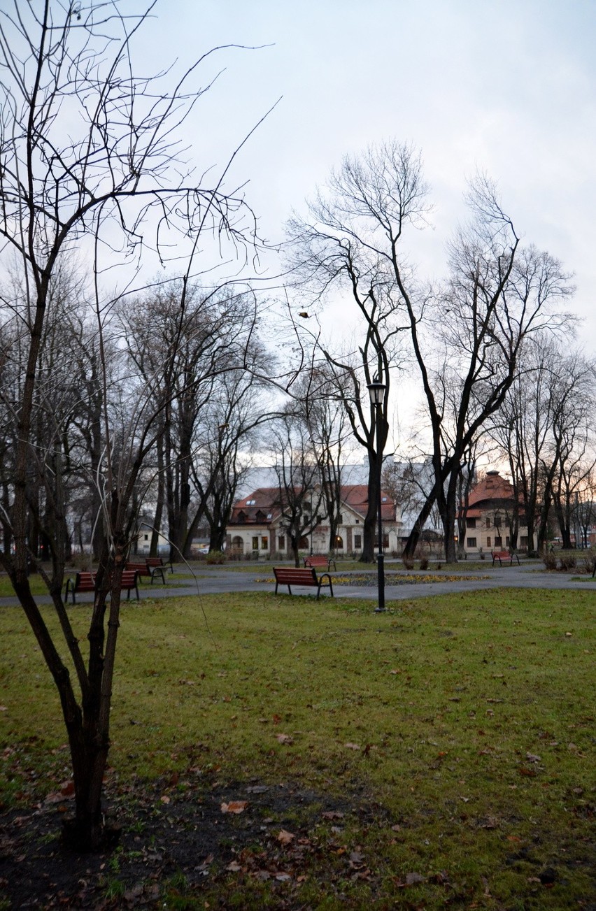 Park Bronowicki czeka remont. Za unijne pieniądze  