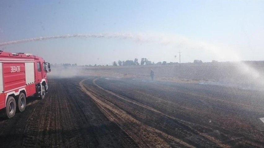 Pożar na polu. Ogień objął aż 9 hektarów zbóż i słomy [zdjęcia]