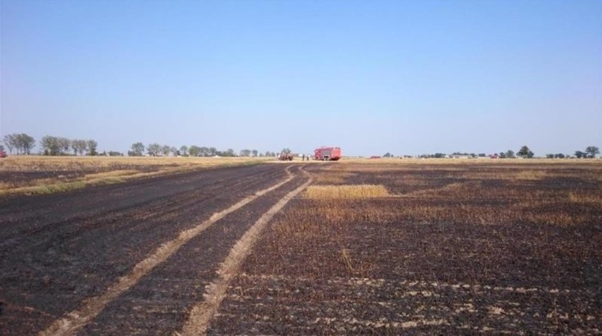 Pożar na polu. Ogień objął aż 9 hektarów zbóż i słomy [zdjęcia]
