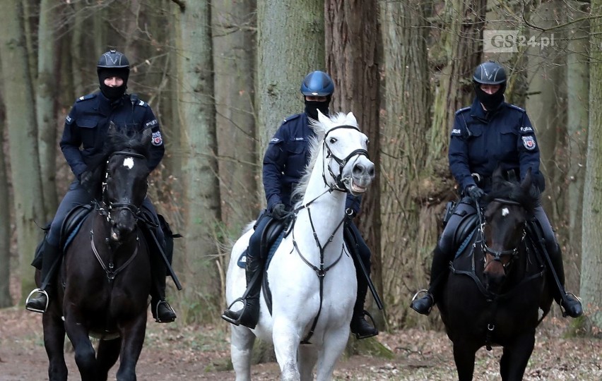 Policjanci na koniach, żandarmeria. Pilnują parków i lasy w Szczecinie. Jest zakaz wstępu - 05.04.2020