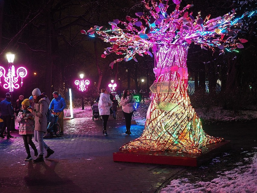 Park Źródliska i Piotrkowska wieczorem – w zimowej, lśniącej tysiącami światełek odsłonie ZDJECIA