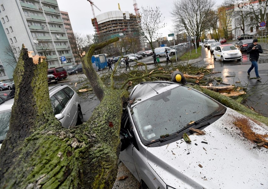 Wichura nad Szczecinem [4.03.2019 r.]. Nawałnica dała się we znaki wszystkim służbom 