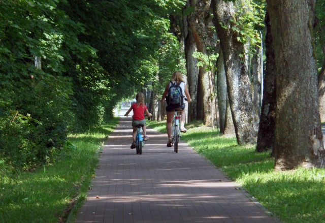 Zarząd Infrastruktury Miejskiej zapewnia, ze ścieżka rowerowa przy ul. Arciszewskiego jest sprzątana wystarczająco często.