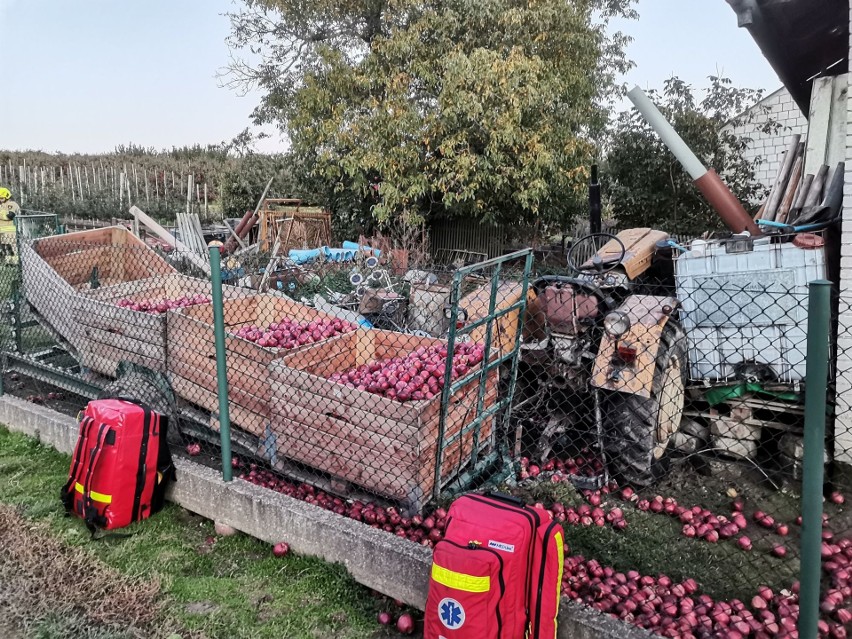 Wypadek podczas zbioru jabłek w miejscowości Łojowice w powiecie sandomierskim. Z platformy spadły trzy osoby. Ranna też traktorzystka