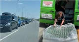 Kilkukilometrowa kolejka samochodów na przejściu granicznym Budomierz - Hruszów