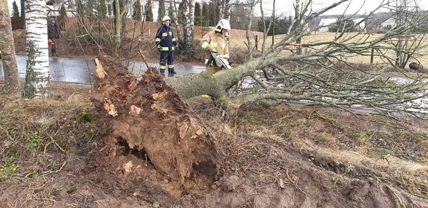 Uwaga! Wichury w regionie. Są już pierwsze straty (zdjęcia)