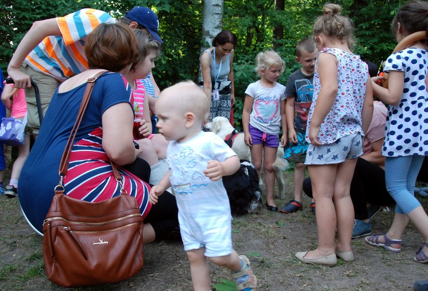 Noc Marzeń w myślęcińskim zoo