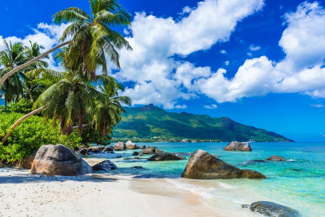Jeśli marzycie o wakacjach w prawdziwym raju, na tropikalnej wyspie z dala od cywilizacji, o nurkowaniu w czystej wodzie wśród rafy koralowej i piciu drinków ze skorupy kokosa, nie powinniście zwlekać z realizacją planów. Archipelagi Oceanu Spokojnego i Indyjskiego są zagrożone zalaniem przez stale podnoszącą się wodę. Zagrożone są nie tylko Malediwy czy Seszele. Ile jeszcze czasu mają turyści, by odwiedzić rajskie wyspy, nim znikną z mapy? Poznajcie 11 współczesnych Atlantyd, czyli wysp i archipelagów, które niebawem mogą zatonąć.