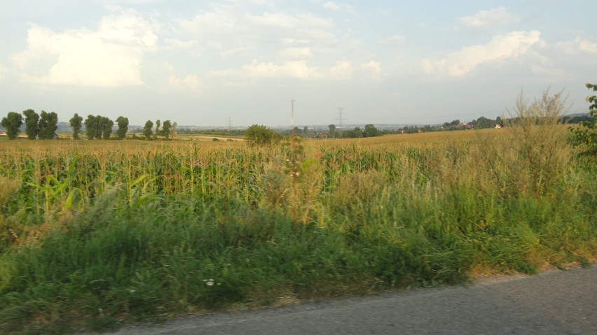 Gmina Michałowice przygotowuje się do zmiany planów...