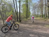 Wiosna w rezerwacie Segiet - magiczny las na granicy Tarnowskich Gór i Bytomia. Świetne miejsce na spacer i rower. Można zabrać psa
