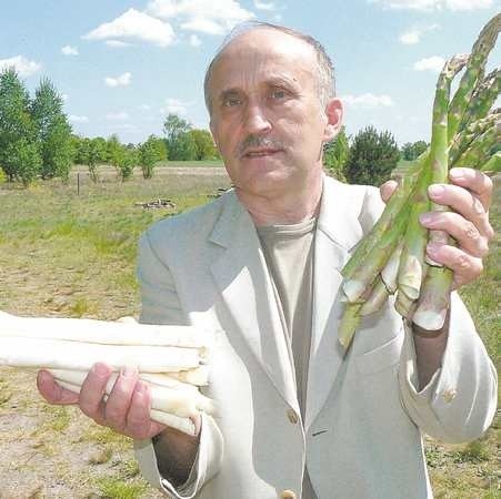 - Zielone szparagi mają bardziej intensywny smak i są zdrowsze, ale Polacy podobnie jak Niemcy wciąż gustują przede wszystkim w białych - mówi prezes Polskiego Związku Producentów Szparaga Andrzej Mainka.