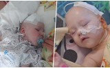 Tylko kosztowne leczenie może uratować 2-letniego Gabrysia z Olszanicy [ZDJĘCIA]