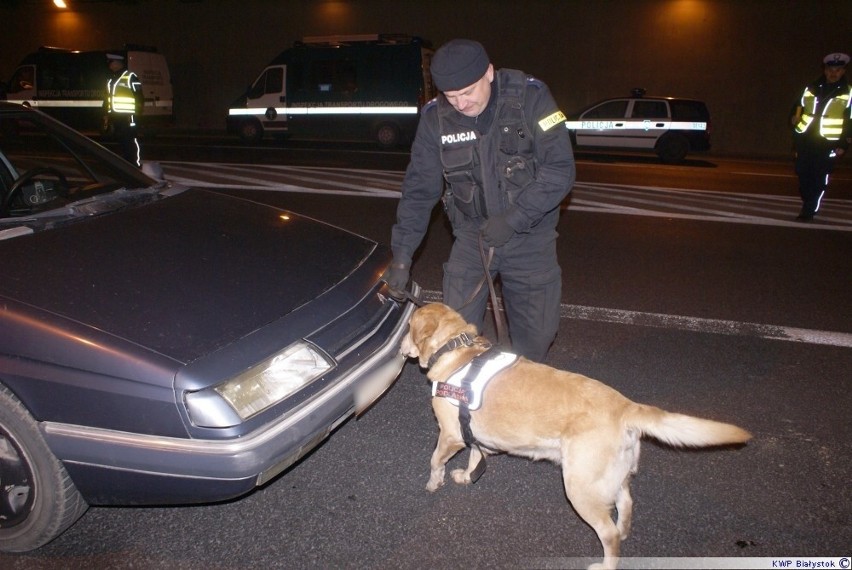 Wielka akcja policji w całym województwie [FOTO]