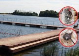 Wandale niszczą kąpielisko w Kolbudach. Ktoś zniszczył przebieralnię i wyciąga gwoździe z dna zbiornika