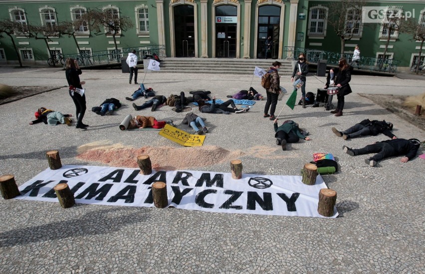 "Alarm klimatyczny". Ekologiczny protest przeciwko wycince drzew przed Urzędem Miasta w Szczecinie