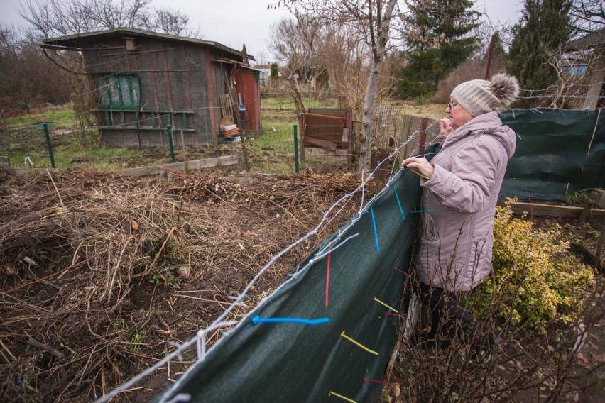 Działkowcy z Rodzinnego Ogrodu Działkowego Bohaterów...