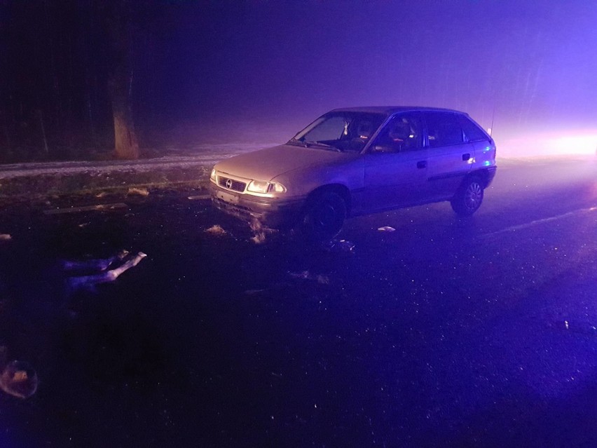 Zderzenie łosia z dwoma samochodami osobowymi w gminie Gózd.