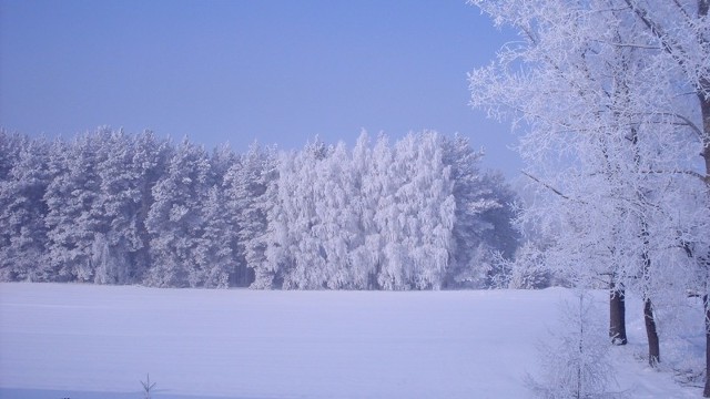Ten zimowy krajobraz sfotografował pan Artur z Kańkowa