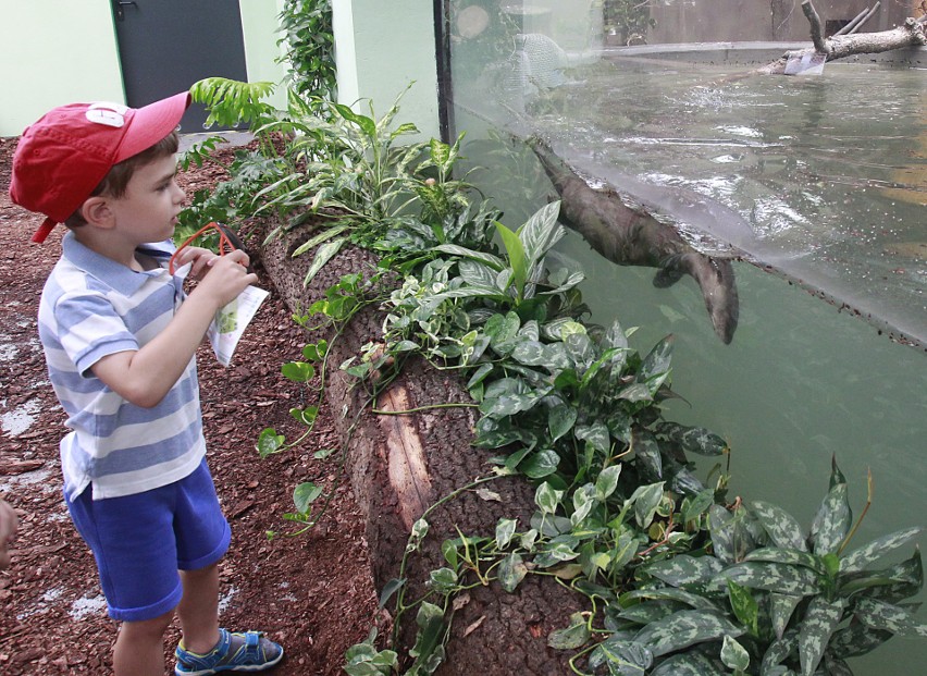 Promocja w łódzkim zoo. W wakacje dzieci wchodzą za 1 zł