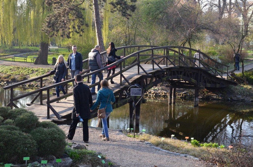 Wrocław: Otwierają Ogród Botaniczny. Będzie można wybrać się na spacer (CENY BILETÓW, ZDJĘCIA)