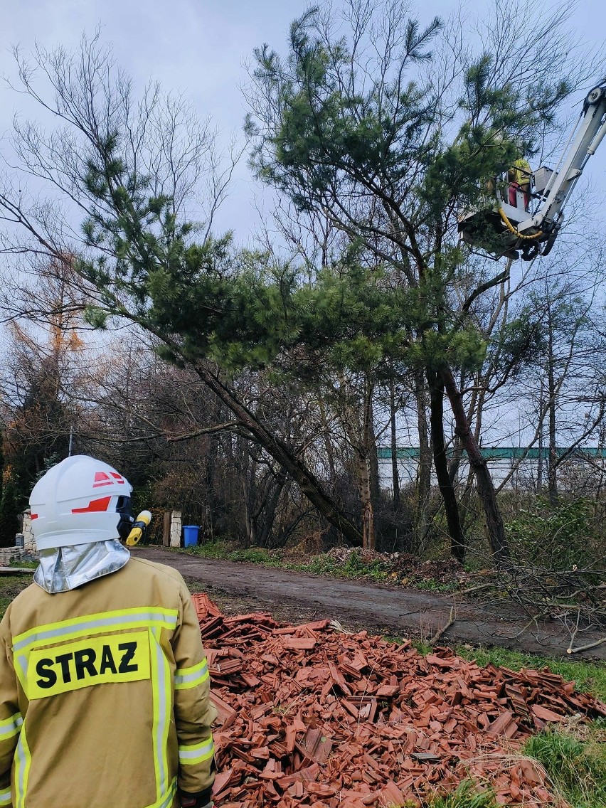 OSP Tenczynek usuwało połamane gałęzie nad ulicą Ogrodową