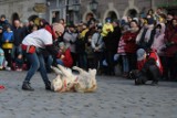 WOŚP 2020: Golden retrievery zbierają na Orkiestrę w Poznaniu. Zobacz zdjęcia