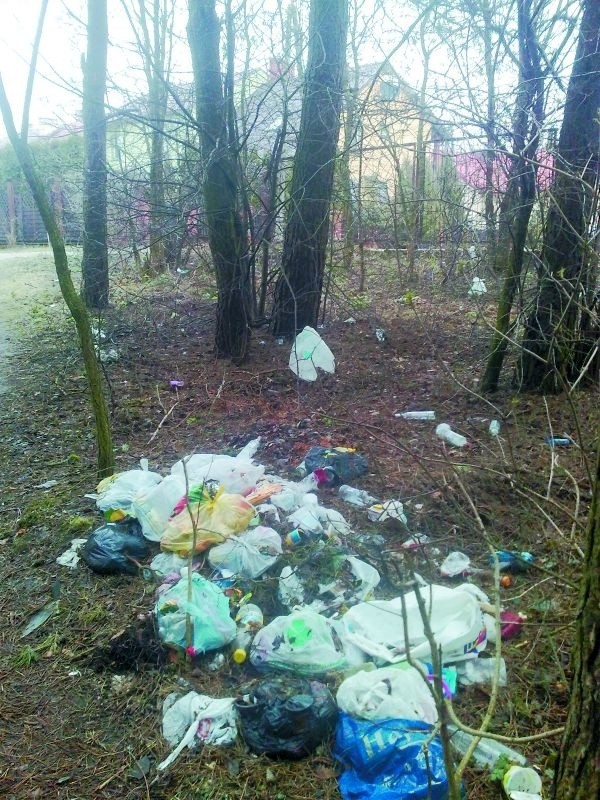 Śmieci leżą na skraju lasu, tuż obok domków jednorodzinnych