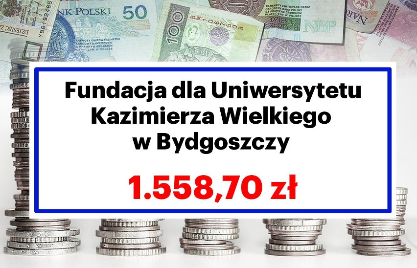 Bydgoskie Organizacje Pożytku Publicznego dostały pieniądze z odpisu 1% podatku. Zobacz, kto i ile dostał [GALERIA]