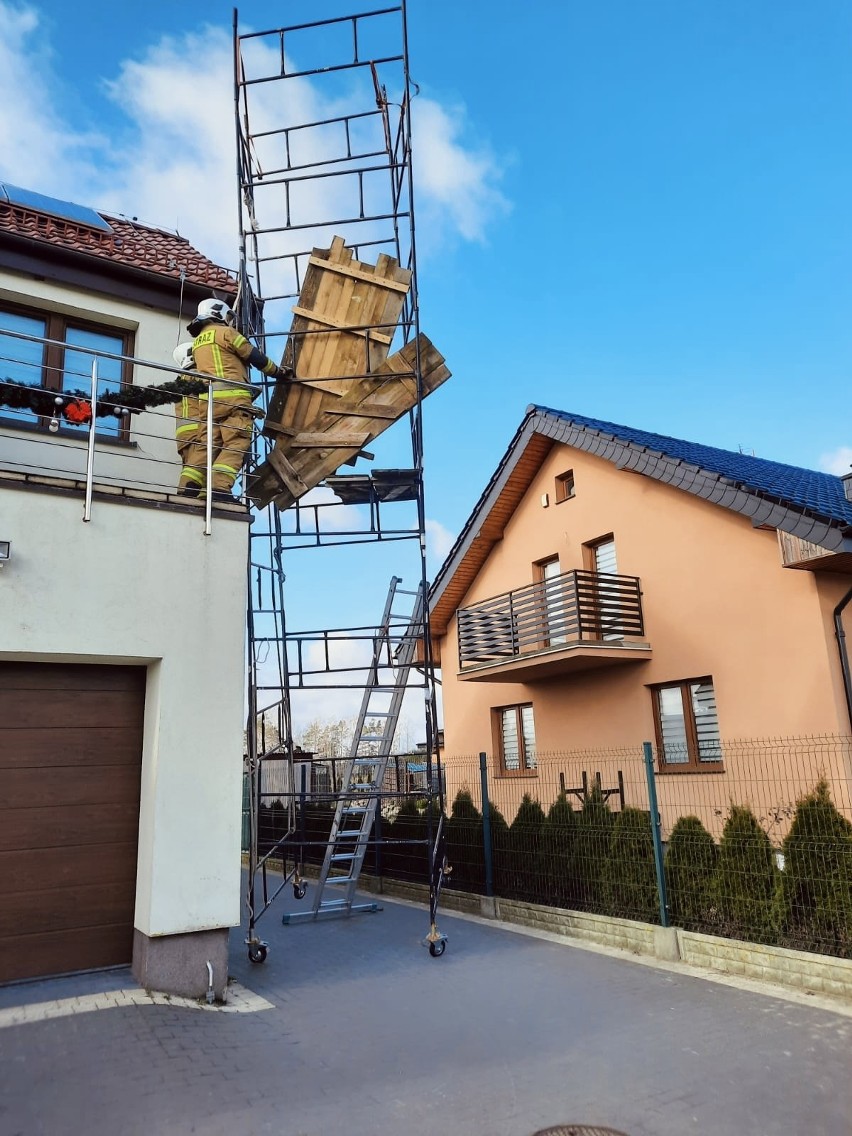 Wichura w Gdyni dała się w trzech ostatnich dniach we znaki. Połamane drzewa, zerwane dachy. Strażacy mieli mnóstwo pracy. ZDJĘCIA