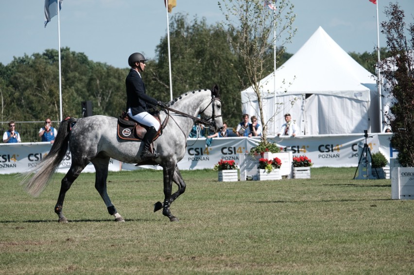 Włoski jeździec wygrał Grand Prix Poznania