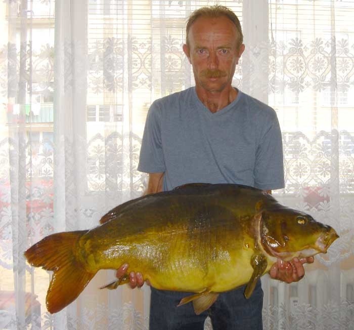 Piotr Szarkowicz z Krosna Odrz. - karp: 18,16 kg i 95 cm...