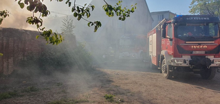 Pożar przy ulicy Lelewela w Białogardzie. Płonęły pomieszczenia gospodarcze [ZDJĘCIA]