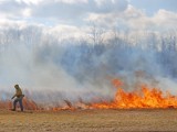 Pożar na Jachcicach - strażacy gaszą płonące trawy