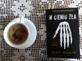 Thriller "W cieniu zła". Mroczna, niepokojąca książka o powtarzających się zbrodniach w małym miasteczku RECENZJA