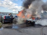 Pożar na parkingu gdańskiego lotniska. Doszczętnie spłonęły cztery auta | ZDJĘCIA