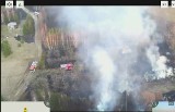 Duży pożar w gminie Michałowo. Spłonęła część lasu i 13 domków letniskowych nad Siemianówką między Budą, a Cisówką [ZDJĘCIA]